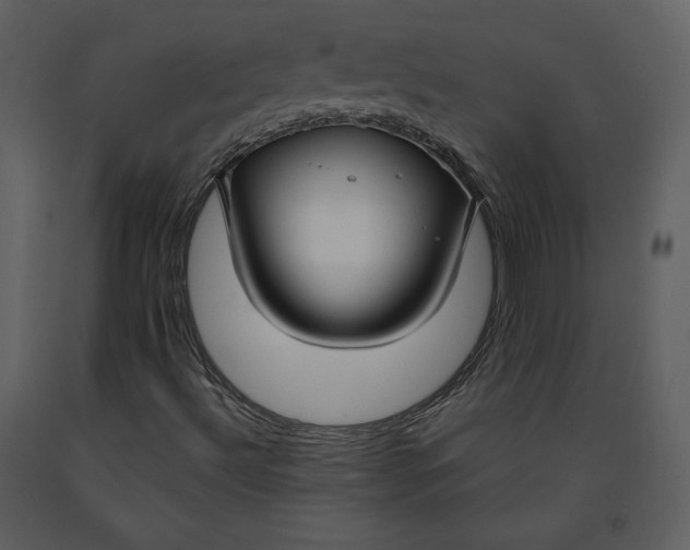 X0000090951492200708241115