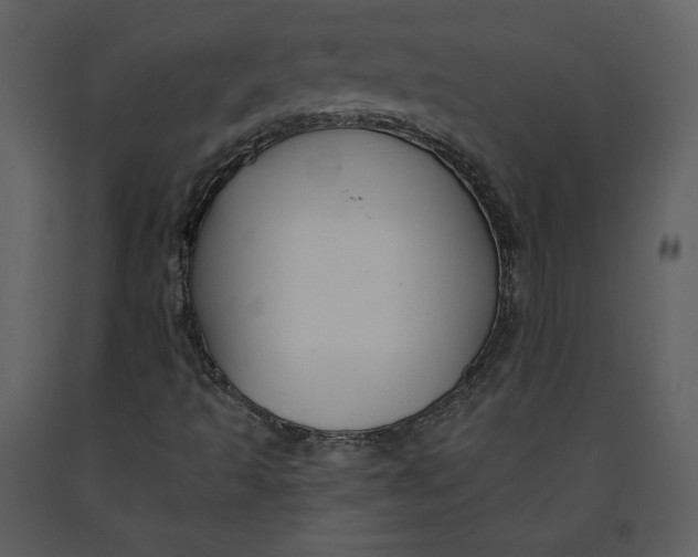 X0000090951493200708241115