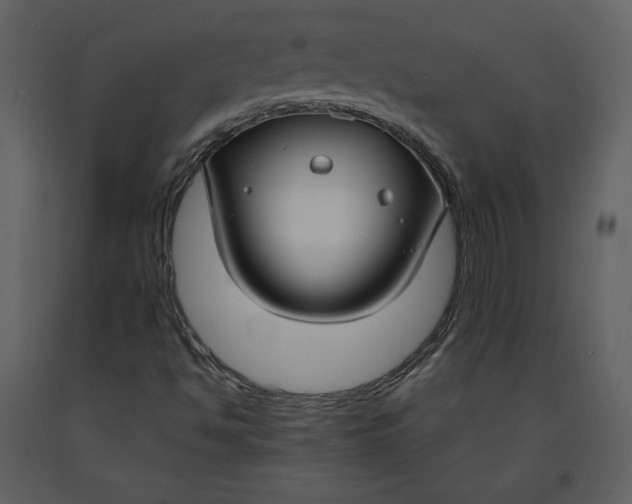 X0000090951494200708241115