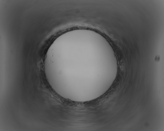 X0000090951495200708241115