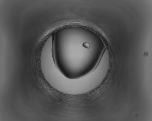 X0000090951496200708241115