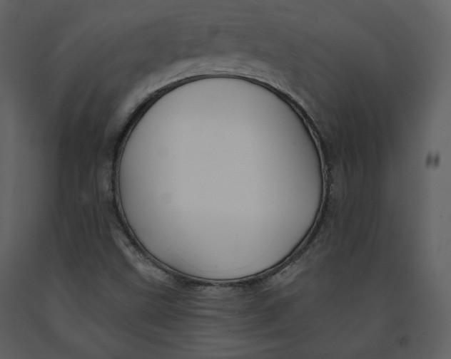 X0000090951499200708241115