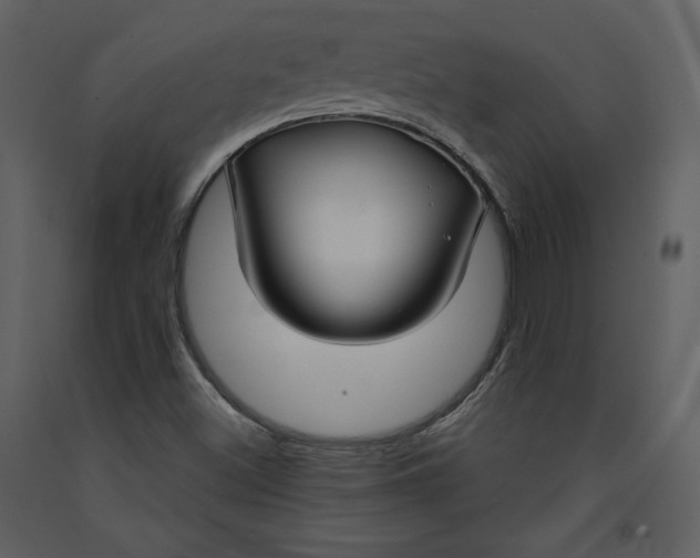 X0000090951500200708241115