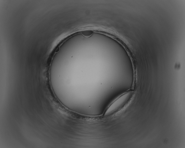 X0000090951501200708241115