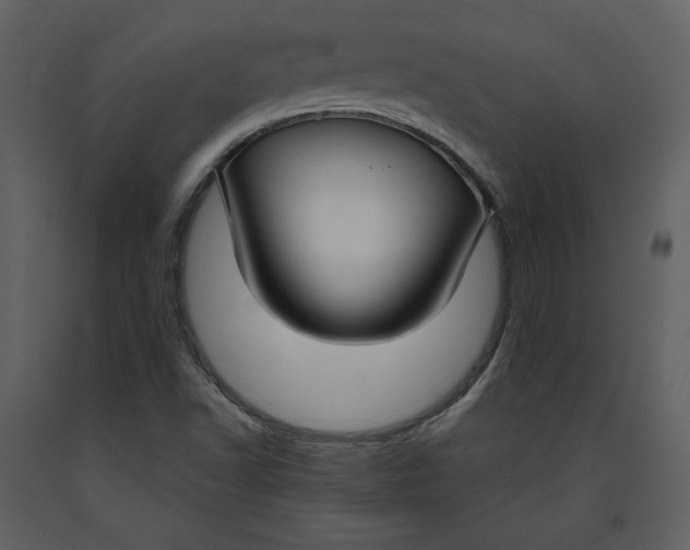 X0000090951502200708241115