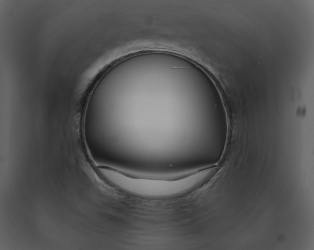 X0000090951503200708241116