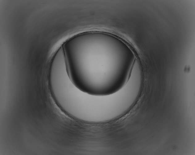 X0000090951504200708241116
