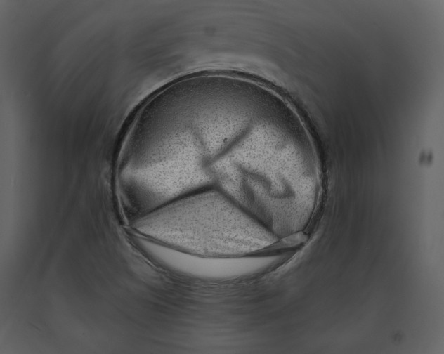 X0000090951505200708241116