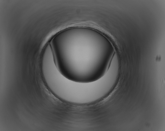 X0000090951506200708241116
