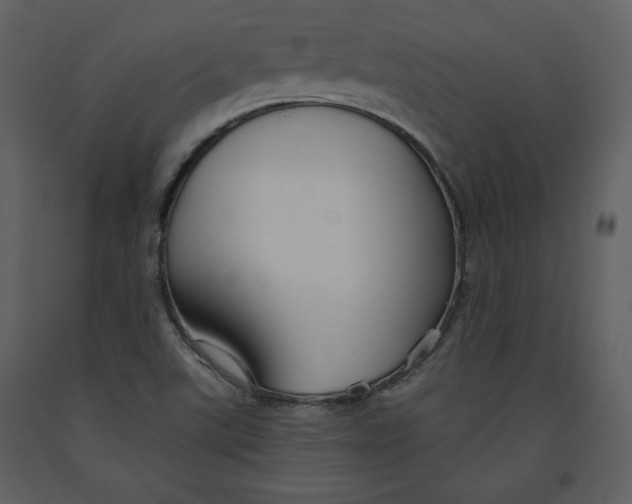 X0000090951507200708241116