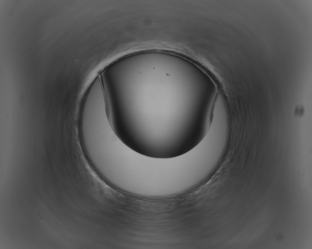 X0000090951508200708241116