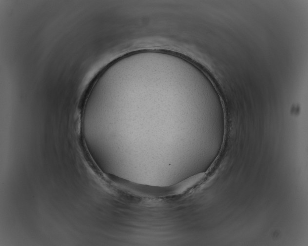 X0000090951509200708241116
