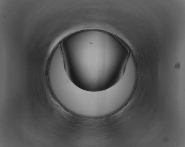 X0000090951510200708241116