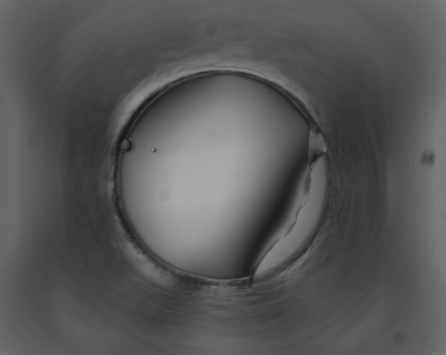X0000090951511200708241116