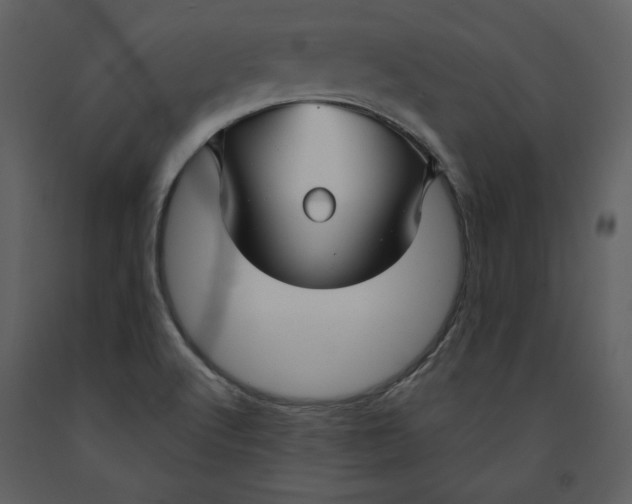 X0000090951512200708241116