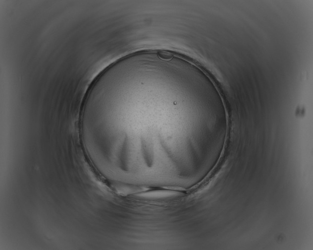 X0000090951513200708241116