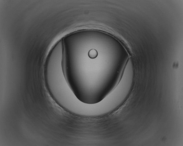 X0000090951514200708241116