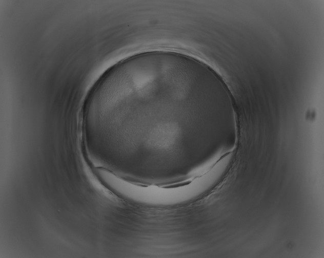 X0000090951515200708241116