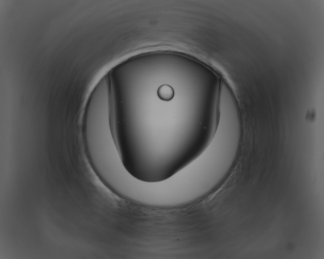 X0000090951516200708241116