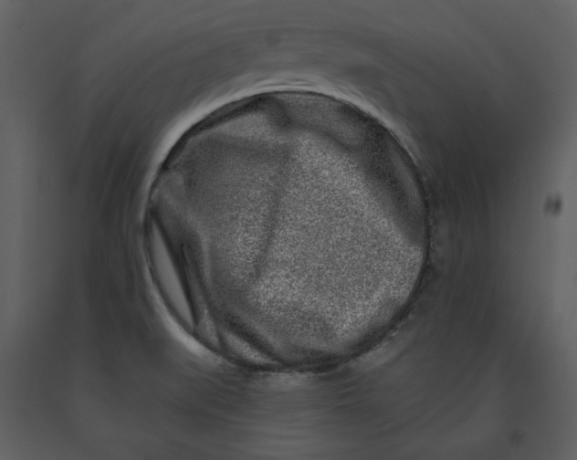 X0000090951519200708241116