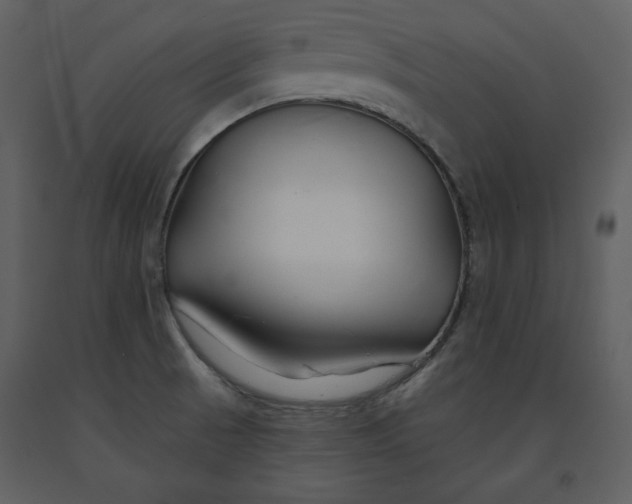 X0000090951521200708241116