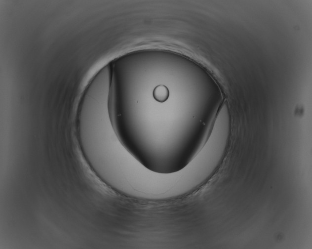 X0000090951522200708241116