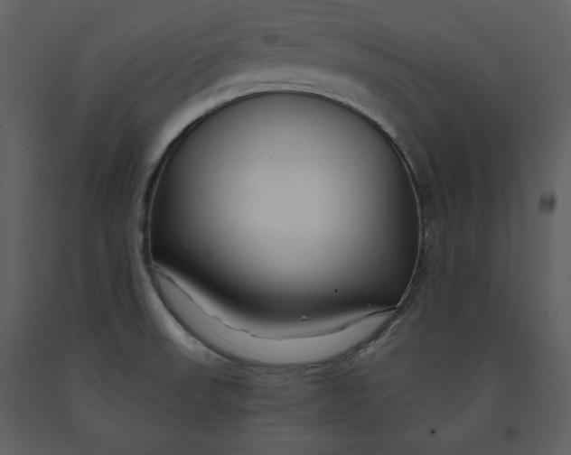 X0000090951523200708241116