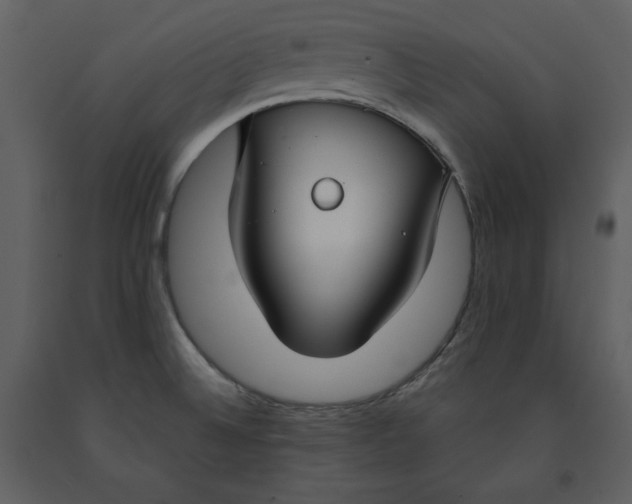 X0000090951524200708241116