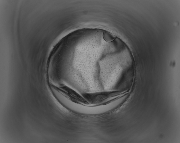 X0000090951525200708241116