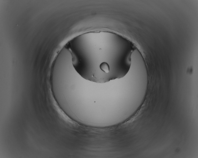 X0000090951526200708241116