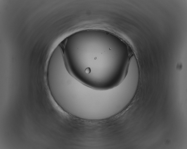 X0000090951528200708241116