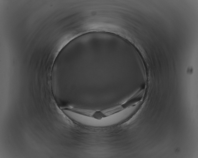 X0000090951529200708241116