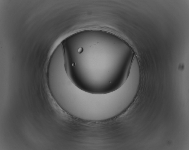 X0000090951530200708241116