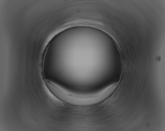 X0000090951531200708241116