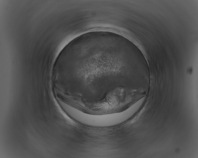 X0000090951533200708241116