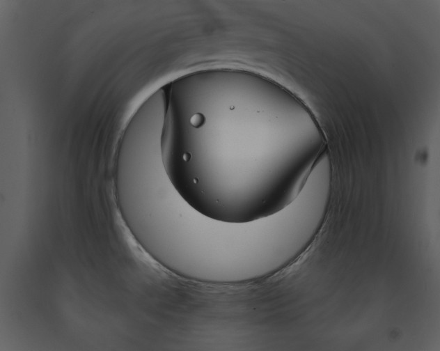X0000090951534200708241116