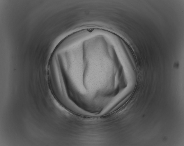 X0000090951535200708241116