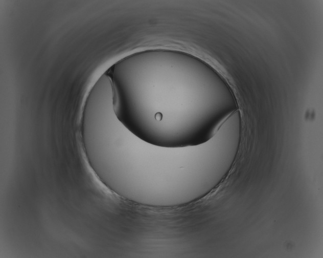 X0000090951536200708241116