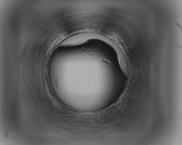 X0000090950001200708301150