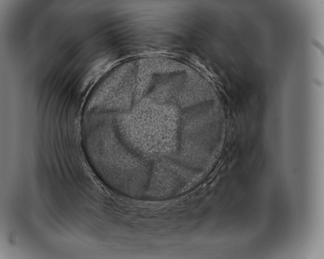 X0000090950002200708301150
