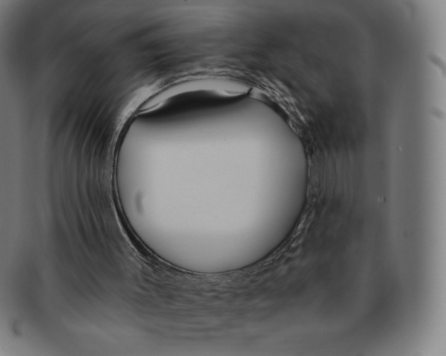 X0000090950003200708301150