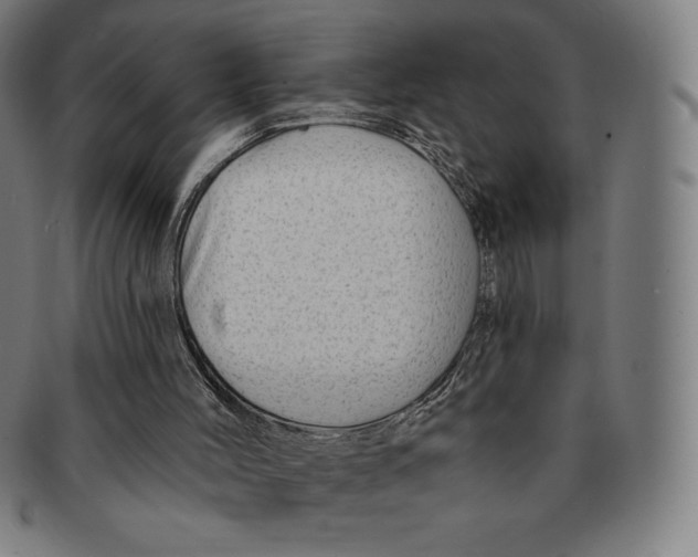 X0000090950004200708301150