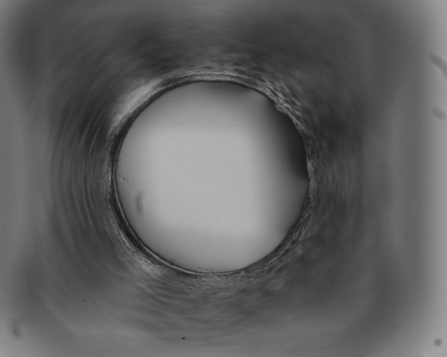 X0000090950005200708301150