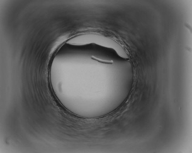 X0000090950006200708301150