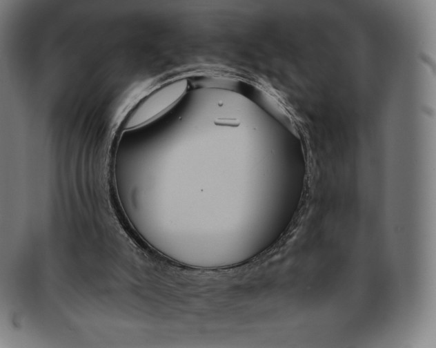 X0000090950007200708301150