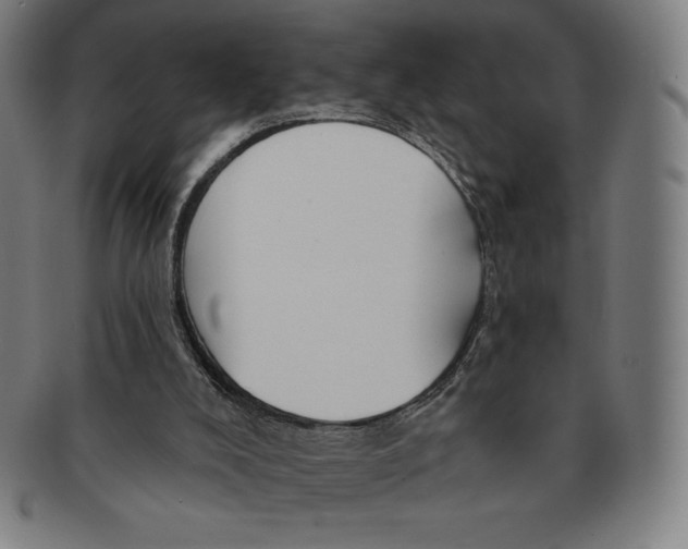 X0000090950008200708301150