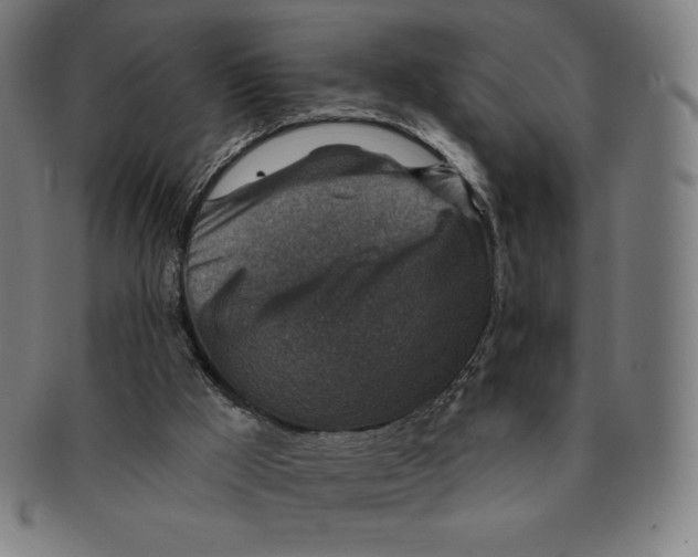X0000090950009200708301150