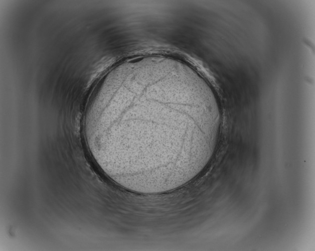 X0000090950010200708301150