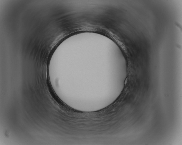 X0000090950011200708301150