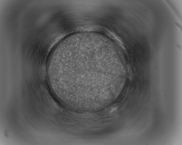 X0000090950012200708301150